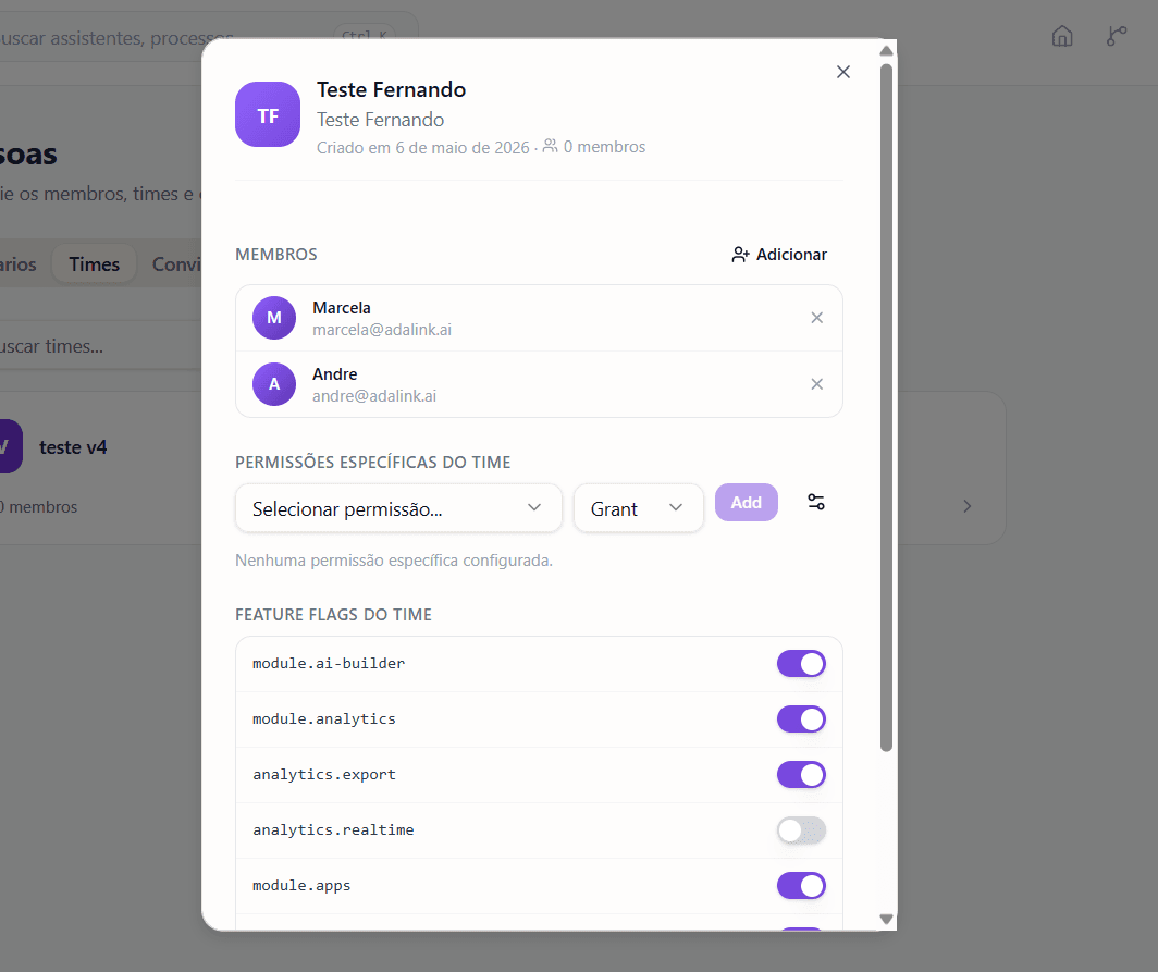 Detalhe de um time — membros, permissões e feature flags